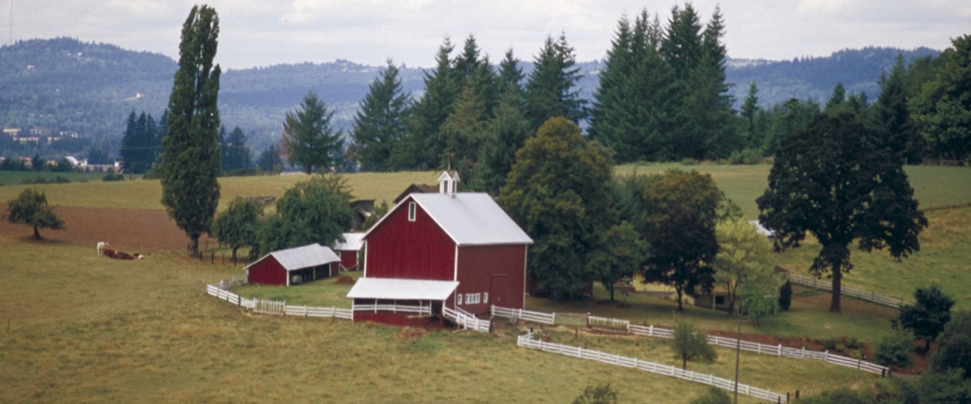 The Political Divide in Lane County, Oregon: Understanding the Differences Between Urban and Rural Areas