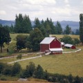 The Political Divide in Lane County, Oregon: Understanding the Differences Between Urban and Rural Areas