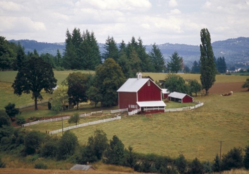 The Political Divide in Lane County, Oregon: Understanding the Differences Between Urban and Rural Areas